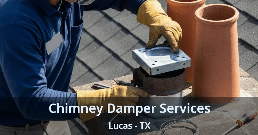 Chimney Damper Services Lucas - TX