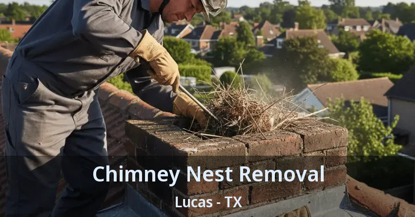 Chimney Nest Removal Lucas - TX Chimney Nest Removal Lucas - TX