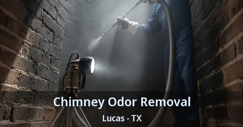 Chimney Odor Removal Lucas - TX
