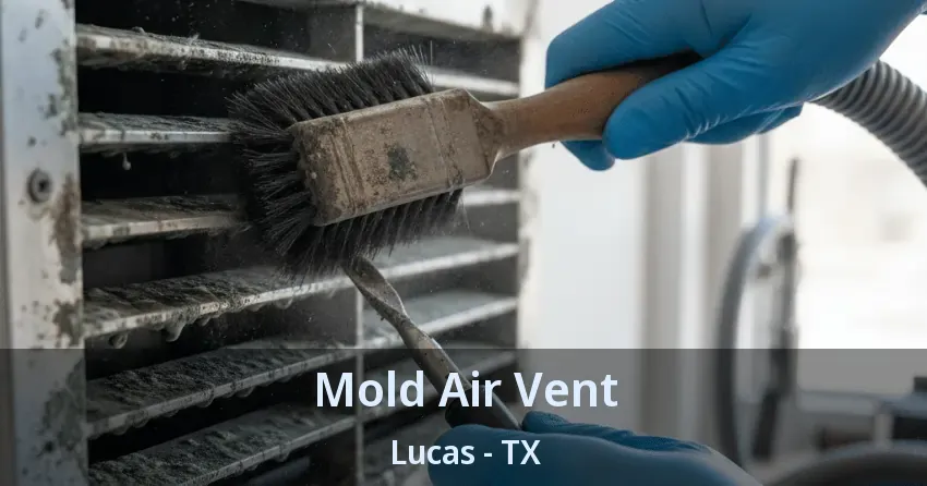 Mold Air Vent Lucas - TX