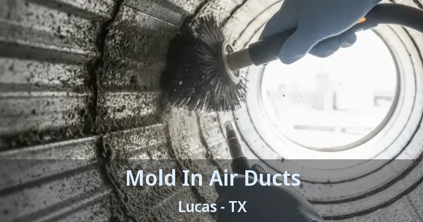Mold In Air Ducts Lucas - TX Mold In Air Ducts Lucas - TX