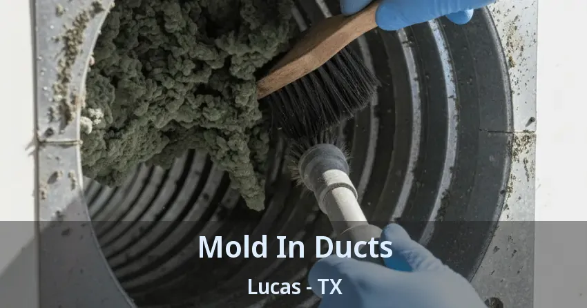 Mold In Ducts Lucas - TX