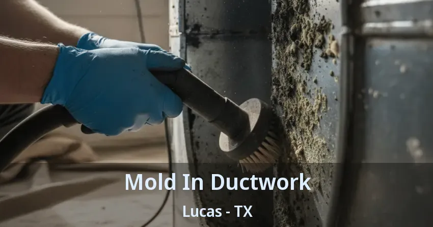 Mold In Ductwork Lucas - TX