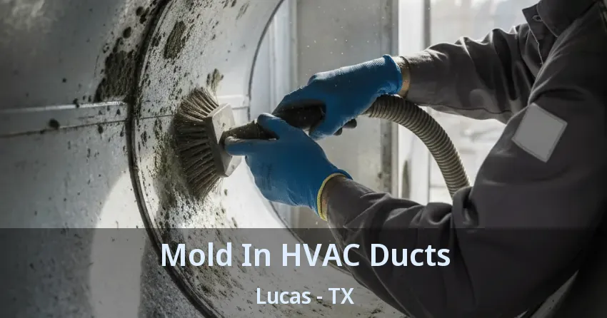 Mold In HVAC Ducts Lucas - TX