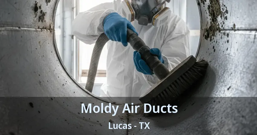 Moldy Air Ducts Lucas - TX